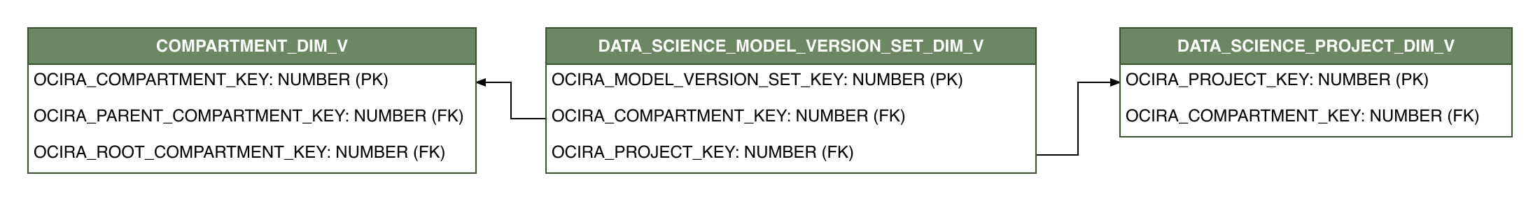 Relationship diagram showing the dimension table, DATA_SCIENCE_MODEL_VERSION_SET_DIM_V.