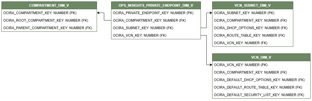 ディメンション表OPS_INSIGHTS_PRIVATE_ENDPOINT_DIM_Vを示す関係図。