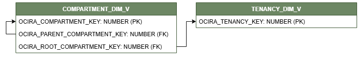 [TENANCY_DIM_Vに接続されたCOMPARTMENT_DMI_Vビュー。